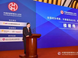 楼继伟犀利直言：二级市场机构投资者散户化，一级市场存在大量庞氏融资