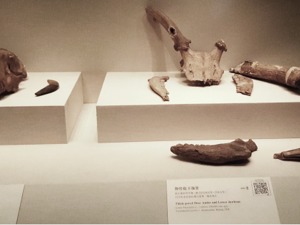 距今至少2500年！首座越国高等级贵族墓园被发现