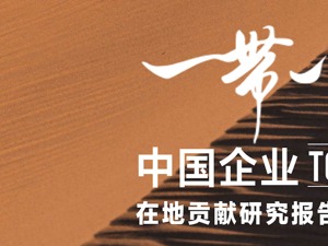 《“一带一路”中国企业100强在地贡献研究报告（榜单）》