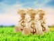 Upload_1573657535569.thumb_hs