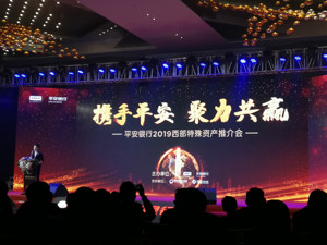 平安银行特殊资产管理事业部总裁董续勇：处置不良资产有利于金融机构更好服务实体经济