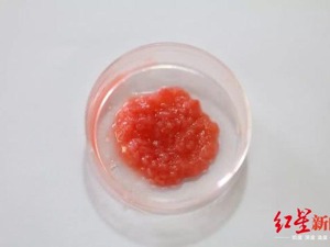 我国首次培养出人造真肉 专家：与普通肉营养价值相似，甚至更优