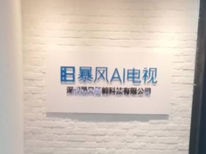 人员流失严重审计机构请辞 暴风集团恐无法如期披露年报