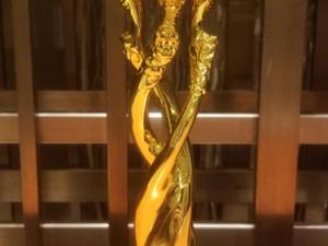 前海人寿荣膺2019年度卓越人寿保险公司金鼎奖