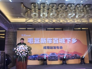 争夺农村市场：“毛豆新车们”的生意经