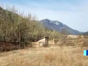 招商局长答复让人意外！国有土地成“自家后院”被“一地三租”