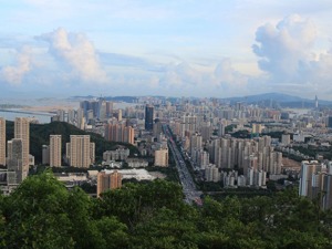 背靠格力这棵“大树”，珠海如何打造“森林”？