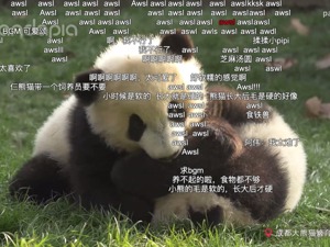 B站2019年度弹幕新鲜出炉：AWSL你知道啥意思吗？