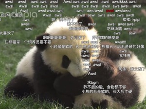 B站用户一年发送弹幕超14亿次 年轻人的“AWSL”你看懂了吗？