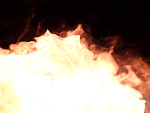 佛山突发山火：千余人疏散  超1600人正向火逆行参与扑救