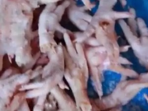800多吨冻品被海关查获，部分鸡爪居然来自疫区！差点流入珠三角…