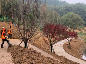 累计拆除违建8万平方米，这个国家级保护区实现生态环境与民生福祉双赢，大批原住居民迁出后收入倍增