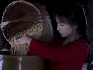 央视评李子柒为何火遍全球：没有一个字夸中国好，但她讲好了中国文化和中国故事