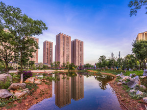 实探深汕合作区楼市：千人抢房再现，各地投资客闻风而至