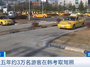 培训13个小时就能考驾照？韩国这条“驾考捷径”或将成历史…