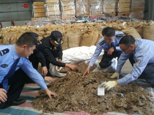 特大走私穿山甲鳞片案告破：逾23吨 约5万只遭杀戮