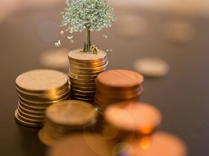 投顾试点再扩容！第三方基金销售公司获批，蚂蚁基金联手Vanguard亮相