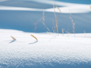 暴雪蓝色预警！北京河北山西等地部分地区有大雪