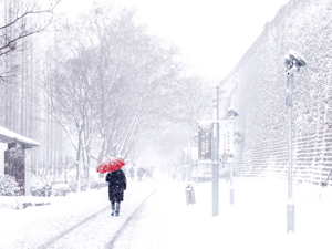 北方迎降雪！多条高速站口管控，首都机场航班取消42架次