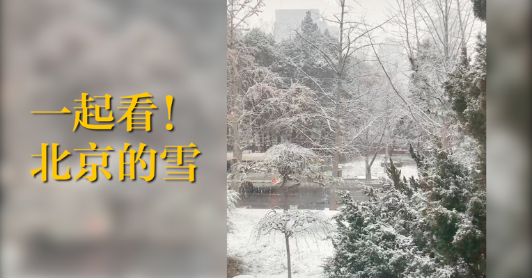 一起看！北京的雪