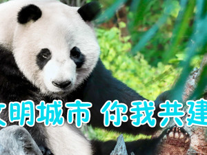 专题 | 文明力量，让城市更美好