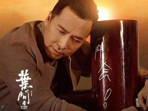 甄子丹 一拳一拳打出来的亿元“身价”