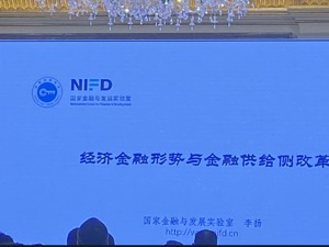 国家金融与发展实验室理事长李扬：货币宽松不意味着信用宽松