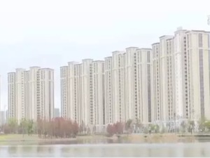 这楼盘真神！每平房价比市价低6千元，6076人摇号仅5人中！剩下571套房子都卖给了谁？