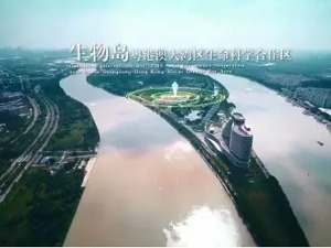 一周时间，三个区松绑限购！楼市行情5年最差，这座一线城市放出“人才”大招