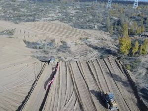 几代人心血被毁！华能光伏项目推平3000亩沙漠林草地，集团回应…