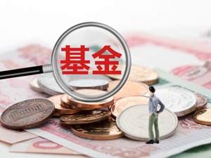 首破千只爆款频出 新基金发行份额成立数量双创纪录