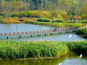 走起！搭上地铁10号线去逛成都首个国家湿地公园