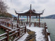 ____500822303_banner.thumb_hs