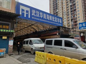 武汉病毒性肺炎追踪：华南海鲜批发市场称尚未接到采取措施通知