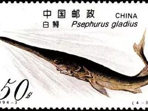 “长江白鲟灭绝”上热搜！网友：从未遇见，听闻已是永别