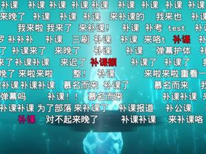跨年晚会"吊打"各卫视，股价暴涨13%，B站这回真的要“破圈”了？