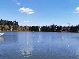 房价连涨41个月、土地出让金破千亿、10余家外来房企进驻……昆明楼市为何这么火？