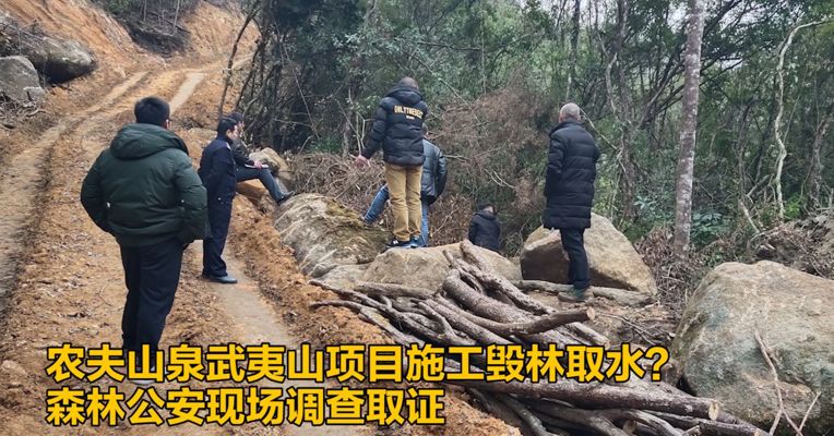 农夫山泉武夷山项目施工毁林取水？森林公安现场调查取证