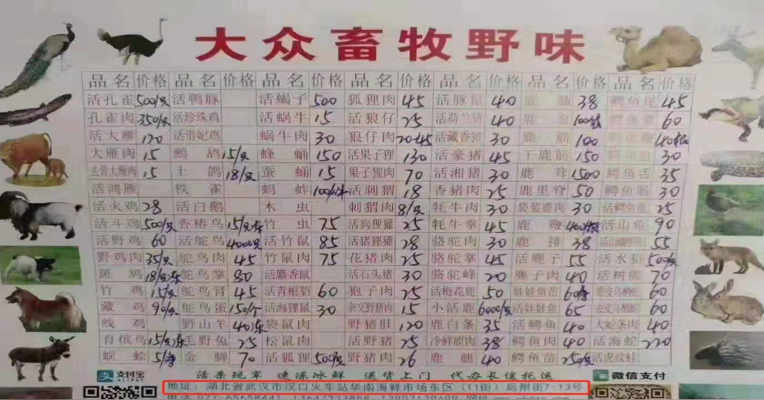 视频丨新型冠状病毒来源是野生动物 武汉野味餐厅菜单曝光
