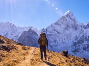 旅游业受疫情影响最明显 全国旅行社和OTA暂停团队游和“机+酒”业务