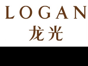 龙光集团向武汉捐赠5000万