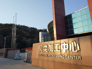 獐子岛董事长拒绝回应罢免董事长提议 二股东股东会发言屡被打断 
