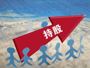 众诚保险员工持股计划出炉 持股上限为1.134亿股