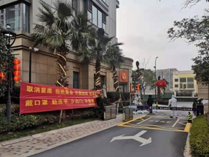 复盘阻击疫情的17天，考验城市“免疫系统”