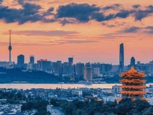 最新！全国累计确诊28018例，湖北下“死命令”：确保病例“应收尽收、应治尽治”，一个都不放过