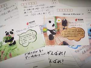 中航集团包机从大阪接223名 湖北籍旅客回家