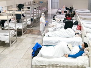 17 健康元