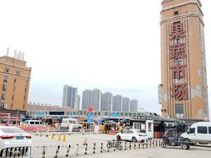 回放｜武汉“封城” 物资供应如何保障？探访武汉“菜篮子”