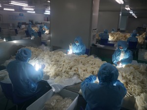 7 北京畅聊天下