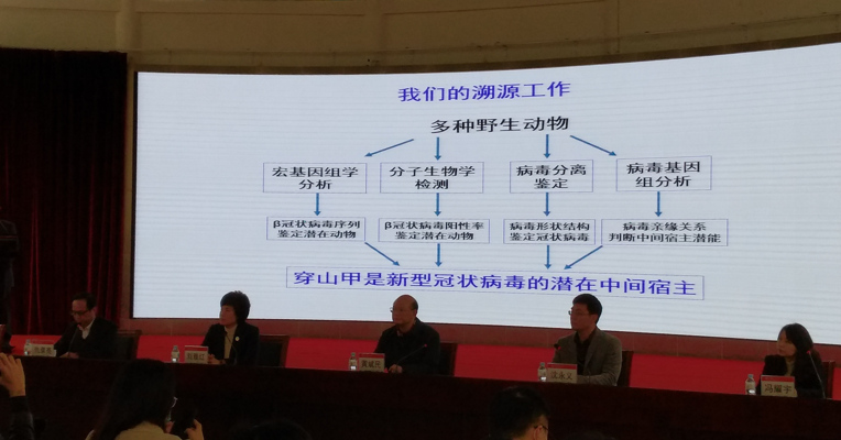 视频丨华南农业大学：穿山甲为新冠病毒潜在中间宿主